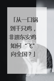 从一口锅到千只鸡，非遗东安鸡如何“飞”向全国？
