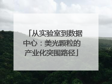 从实验室到数据中心：美光颗粒的产业化突围路径