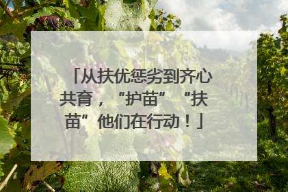 从扶优惩劣到齐心共育，“护苗”“扶苗”他们在行动！