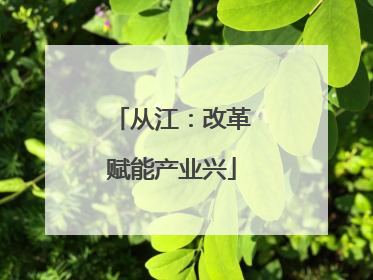 从江：改革赋能产业兴