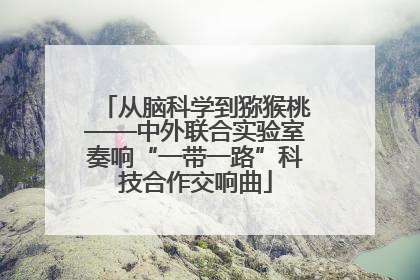 从脑科学到猕猴桃——中外联合实验室奏响“一带一路”科技合作交响曲