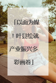 以面为媒！叶县绘就产业振兴多彩画卷