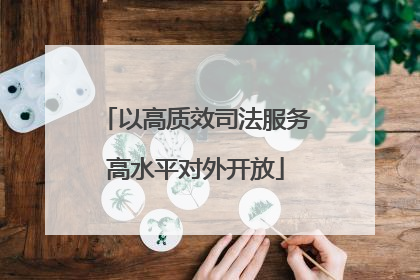 以高质效司法服务高水平对外开放