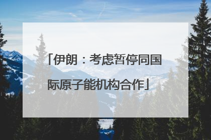 伊朗：考虑暂停同国际原子能机构合作