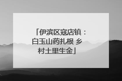 伊滨区寇店镇：白玉山药扎根 乡村土里生金