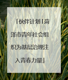 伙伴计划│菏泽市青年社会组织为基层治理注入青春力量