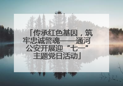 传承红色基因，筑牢忠诚警魂——通河公安开展迎“七一”主题党日活动