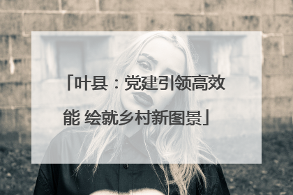 叶县：党建引领高效能 绘就乡村新图景