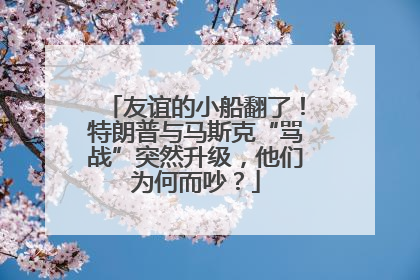 友谊的小船翻了！特朗普与马斯克“骂战”突然升级，他们为何而吵？