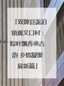 双牌县泷泊镇观文口村：粽叶飘香承古韵 乡情凝聚展新篇