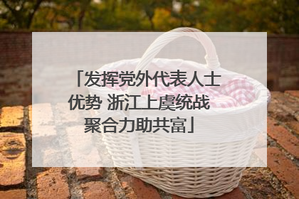 发挥党外代表人士优势 浙江上虞统战聚合力助共富