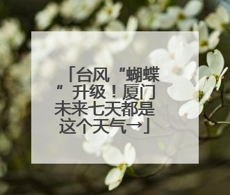 台风“蝴蝶”升级！厦门未来七天都是这个天气→
