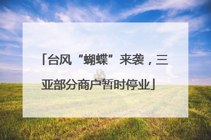 台风“蝴蝶”来袭，三亚部分商户暂时停业