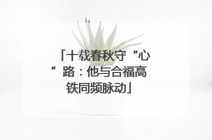 十载春秋守“心”路：他与合福高铁同频脉动