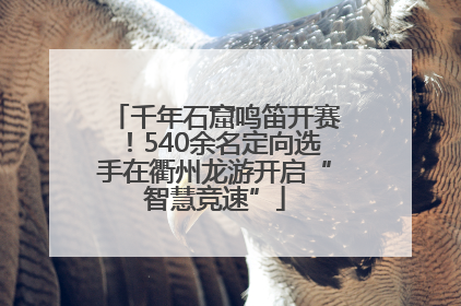 千年石窟鸣笛开赛！540余名定向选手在衢州龙游开启“智慧竞速”