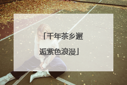千年茶乡邂逅紫色浪漫