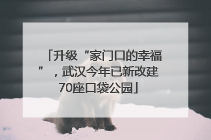升级“家门口的幸福”，武汉今年已新改建70座口袋公园