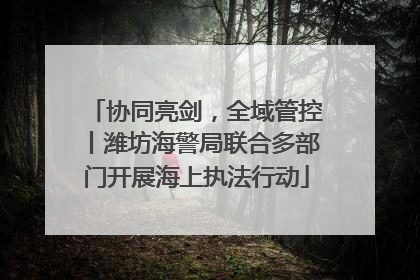 协同亮剑，全域管控丨潍坊海警局联合多部门开展海上执法行动