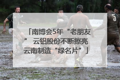 南博会5年“老朋友” 云铝股份不断擦亮云南制造“绿名片”