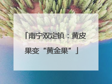 南宁双定镇：黄皮果变“黄金果”