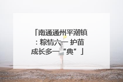 南通通州平潮镇：粽情六一 护苗成长多一“典”