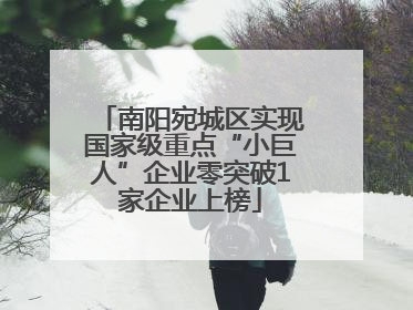 南阳宛城区实现国家级重点“小巨人”企业零突破1家企业上榜
