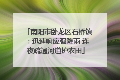 南阳市卧龙区石桥镇：迅速响应强降雨 连夜疏通河道护农田