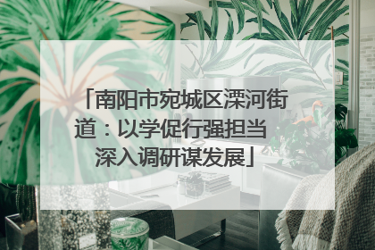 南阳市宛城区溧河街道：以学促行强担当 深入调研谋发展