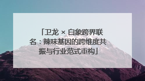 卫龙 × 白象跨界联名：辣味基因的跨维度共振与行业范式重构
