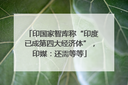 印国家智库称“印度已成第四大经济体”，印媒：还需等等