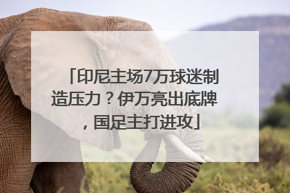 印尼主场7万球迷制造压力？伊万亮出底牌，国足主打进攻