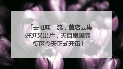 去班味一流，首店云集好逛又出片，天目里国际街区今天正式开街
