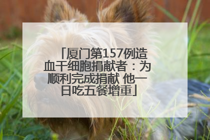 厦门第157例造血干细胞捐献者：为顺利完成捐献 他一日吃五餐增重