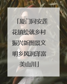 厦门同安莲花镇绘就乡村振兴新图景文明乡风润泽富美山川