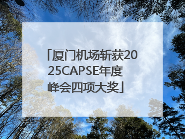 厦门机场斩获2025CAPSE年度峰会四项大奖