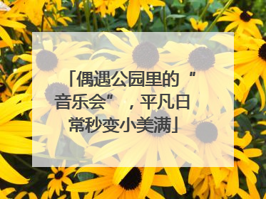 偶遇公园里的“音乐会”，平凡日常秒变小美满