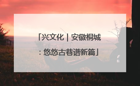兴文化｜安徽桐城：悠悠古巷谱新篇