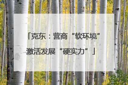 克东：营商“软环境” 激活发展“硬实力”