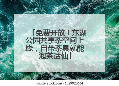 免费开放！东湖公园共享茶空间上线，自带茶具就能泡茶话仙