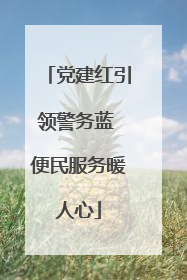 党建红引领警务蓝 便民服务暖人心