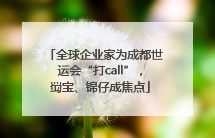 全球企业家为成都世运会“打call”，蜀宝、锦仔成焦点