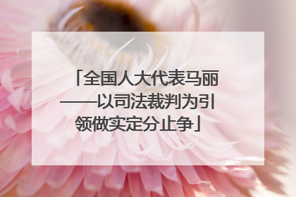 全国人大代表马丽——以司法裁判为引领做实定分止争