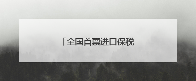 全国首票进口保税岩板在南安入仓