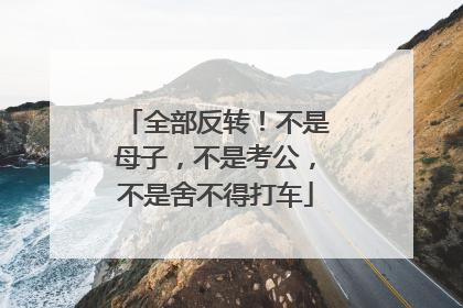 全部反转！不是母子，不是考公，不是舍不得打车