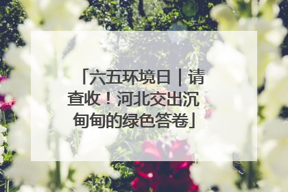 六五环境日｜请查收！河北交出沉甸甸的绿色答卷
