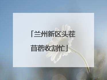 兰州新区头茬苜蓿收割忙