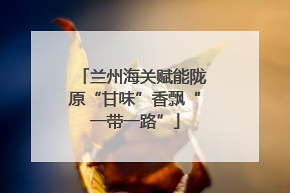 兰州海关赋能陇原“甘味”香飘“一带一路”