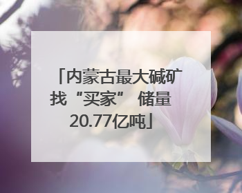 内蒙古最大碱矿找“买家” 储量20.77亿吨