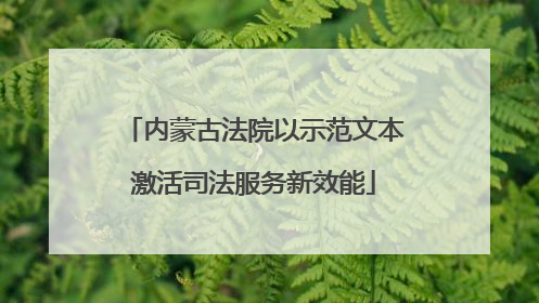 内蒙古法院以示范文本激活司法服务新效能