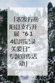 农发行岳阳县支行开展“6·14信用记录关爱日” 专题宣传活动